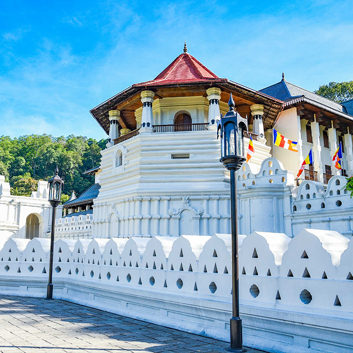 People think About Kiwi2Ceylon is the best travel agency in Sri Lanka.